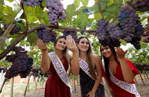 Festa Da Uva 2024 Eco Exército
