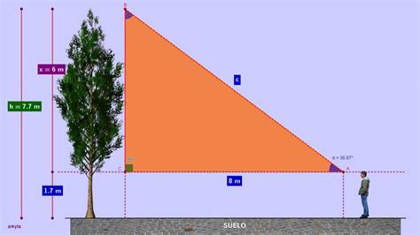 Calcular La Altura A De Un Arbol Sabiendo Que Si Nos Situamos A 8