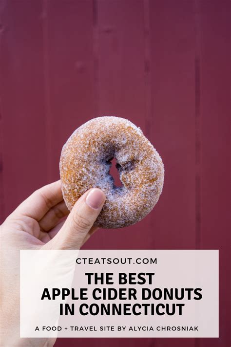 A Person Holding Up A Donut With The Words The Best Apple Cider Donuts In Confectious