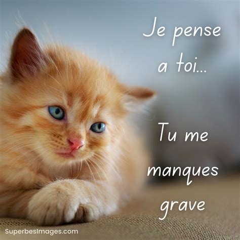 Bonjour Mon Ami Tu Me Manques