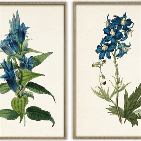 Flowers Print Set Home Decor Botanical Wall Art Flower Etsy