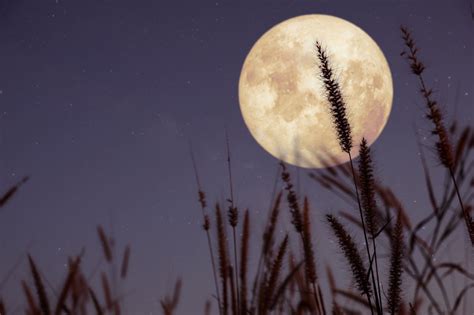 La Super Pleine Lune Des Moissons Sera Visible Ce Soir