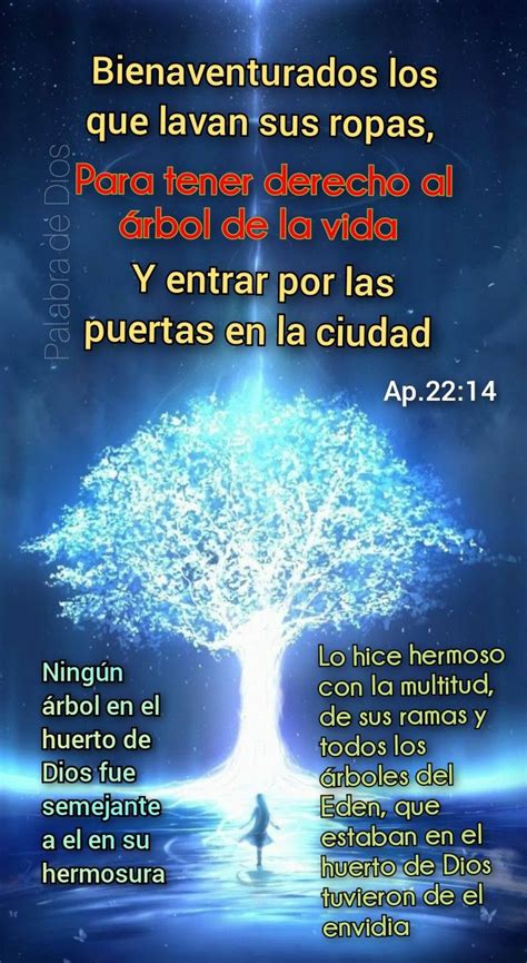 Pinterest Palabra De Dios Biblia Lecciones De La Biblia Palabra De Dios