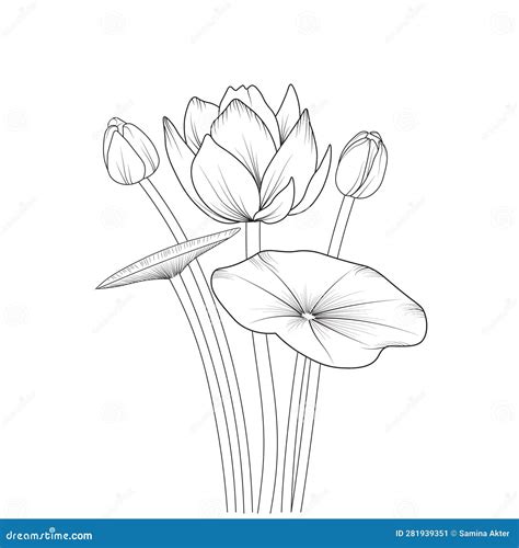 Lotus Flower Pencil Art Black And White Outline Vector Coloring Page And Book For Adults And