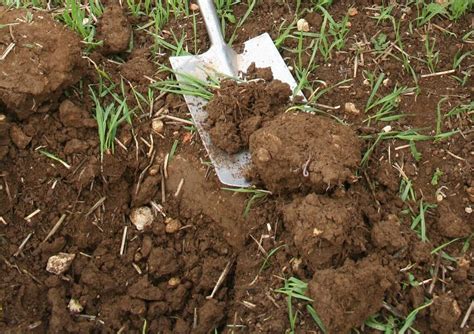 Soil management for effective drainage - Tillage and Soils - best practice crop establishment