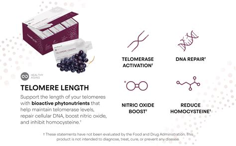 Healthycell Focus And Recall Telomere Length Bundle