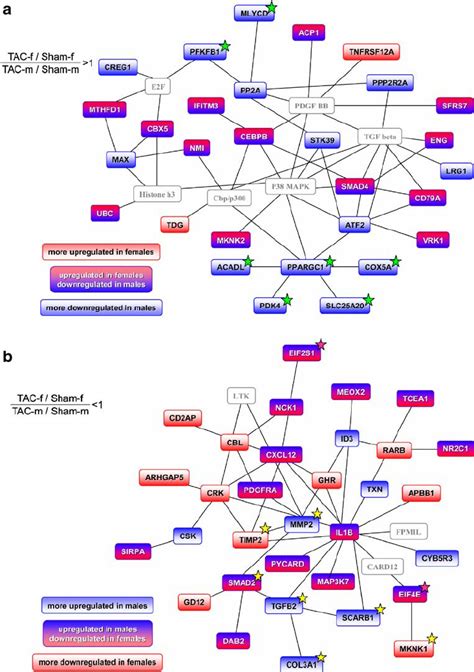 Networks Of Functionally Related Genes With A Sex Specific Regulation Download Scientific