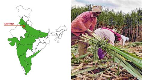 Top 10 Largest Sugarcane Producing States In India Tractorkarvan