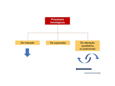 Solution Apresenta O Processos Fonol Gicos Studypool