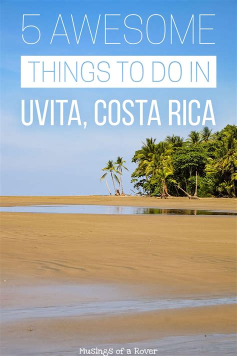 Exploring Uvita Awesome Things To Do In Uvita Costa Rica Artofit