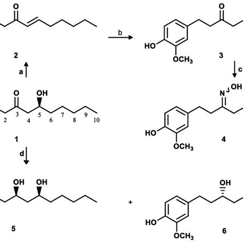 Scheme 1 Semi Synthesis Of Compounds 2 6 From 6 Gingerol 1 Reaction Download Scientific