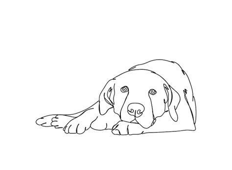 Le Dessin D Art D Une Seule Ligne De Chien Continue L Illustration