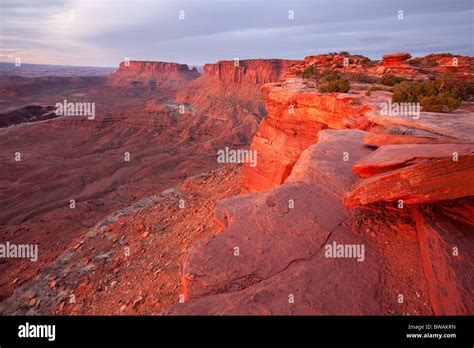 Canyonlands From White Rim Overlook Island In The Sky Unit