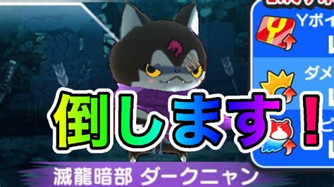 ぷにぷにダークニャンフルキャリー配信！【ぷにぷにお助け】 Youtube