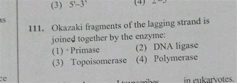 Okazaki fragments of the lagging strand is joined together by the enzyme:..