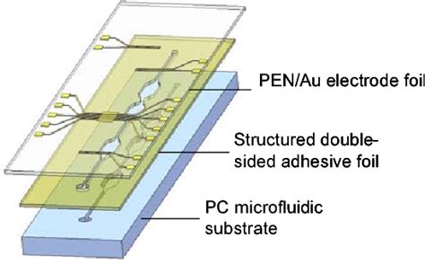 Figure 1 From Assembly Of A Polymer Lab On Chip Device For Impedimetric