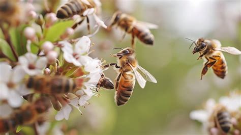 Premium Photo | Swarm of Bees Flying