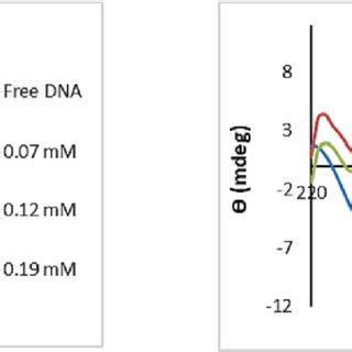 Cd Spectra Of Ct Dna M In The Absence And Presence Of Complexes