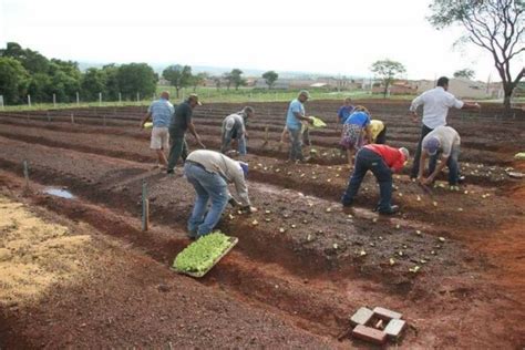 Incentivo a hortas orgânicas comunitárias vira lei em Goiás CicloVivo