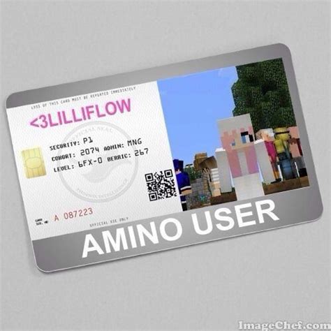 minecraft id card wiki minecraft amino