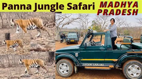 Panna Jungle Safari Panna Tiger Reserve Safari Madhya Pradesh