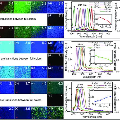 Field Dependent Reflection Spectra Dynamic Tuning Of The Reflection