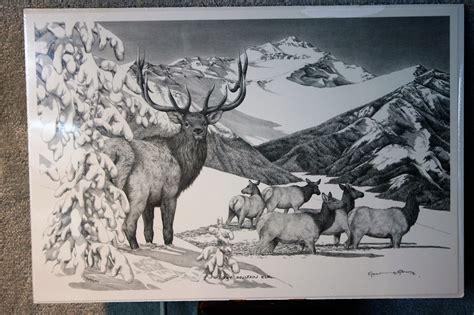 Rocky Mountain Elk Bernie Brown Wild Ones Art