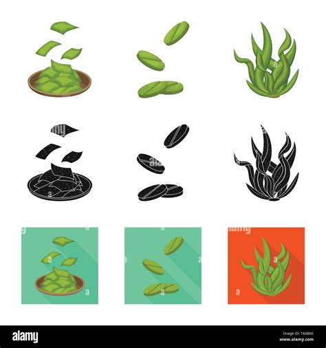 Ilustración vectorial de proteínas y símbolo del mar Conjunto de