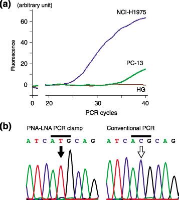 The peptide nucleic acid (PNA)-locked nucleic acid (LNA) polymerase...