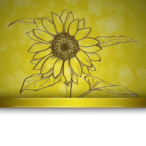 ᐈ Sunflower Varieties Stock Pictures Royalty Free Helianthus Annuus