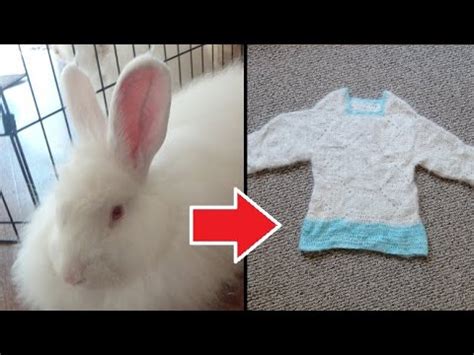 How I Turn Rabbit Fur Into Clothing My Secret Homesteading Skill