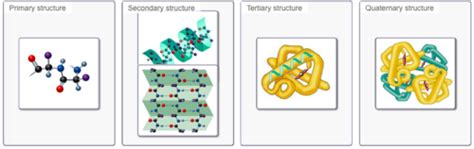 Biology 150 Unit 1 Mastering Biology Assignment 2 Flashcards Quizlet