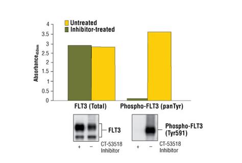 Pathscan Phospho Flt Pantyr Sandwich Elisa Kit Cell Signaling