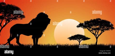 Silhouette Of An African Lion Lion On The Background Of The Sun And