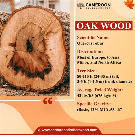 Buy Genuine Oak Wood At Wholesale Price