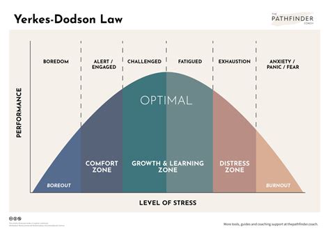 Yerkes Dodson Law The Pathfinder Coach