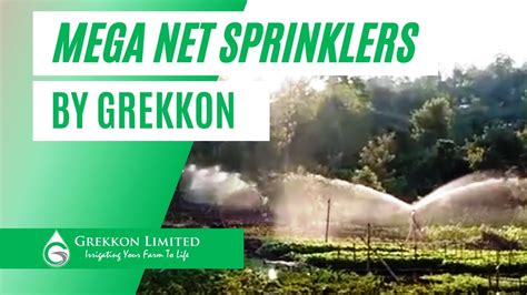 Meganet Sprinklers In Kenya After Installation By Grekkon Limited On A