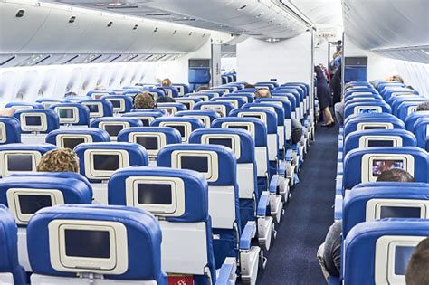 bagian  pesawat umum foto stok  gambar  pramugari