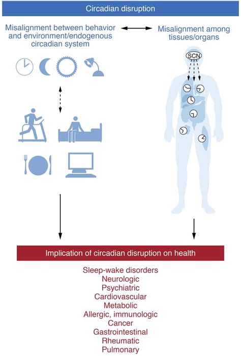 Jci Circadian Disruption And Human Health