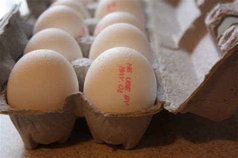 How To Check If An Egg Has Expired Inhouserecipes