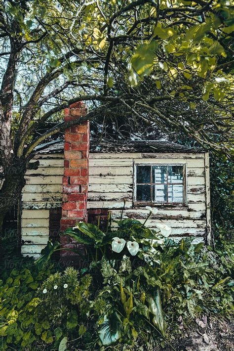 Rustic Old Abandoned Tiny House By Stocksy Contributor Rowena Naylor Stocksy