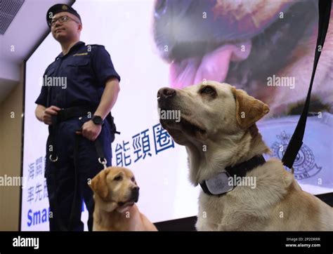 Hong Kong Customs And Excise Department S Press Conference On