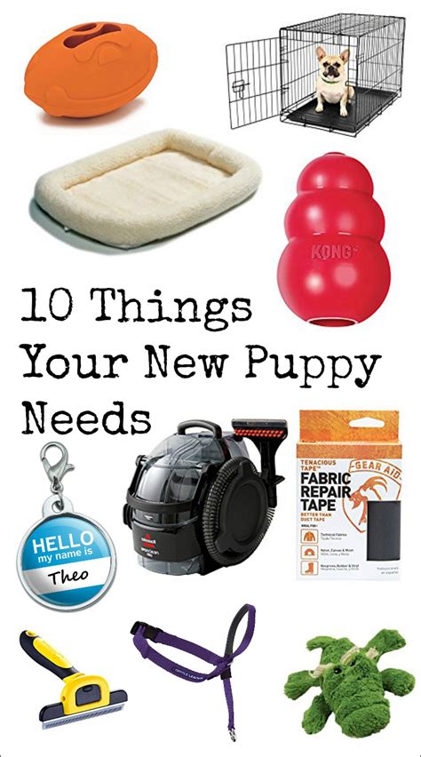 10 Things Your New Puppy Needs Grace And Josie A Blog For Moms