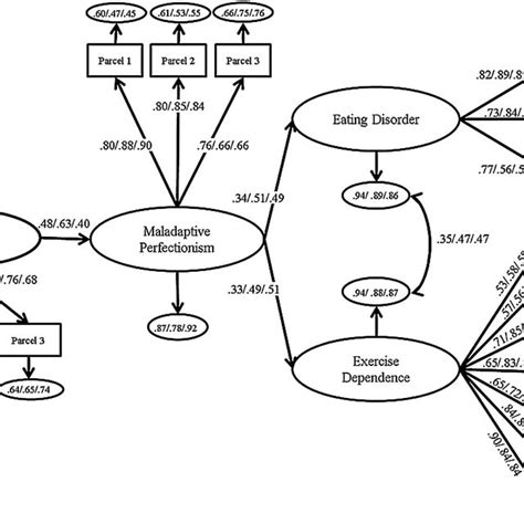 Full Mediation Models Between Psychological Control Maladaptive