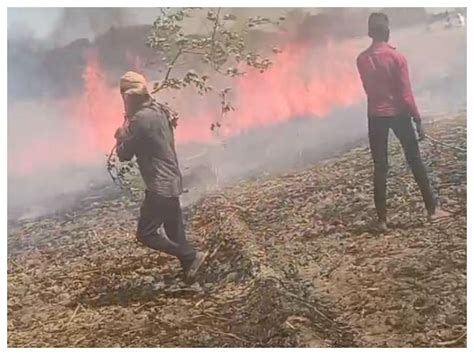 13 Bighas Of Farmers Crops Burnt To Ashes In Ballia बलिया में