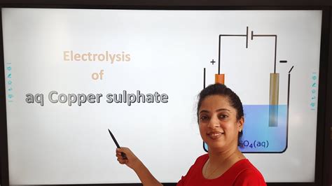 Electrolysis Part 6 Electrolysis Of Copper Sulphate Icse Class 10 Youtube