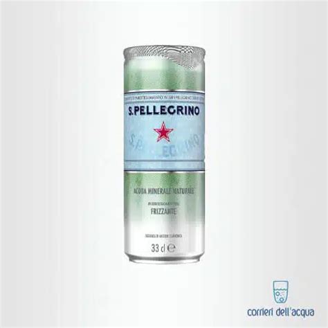 Acqua Frizzante San Pellegrino 0 33 Litri Lattina Con Consegna A