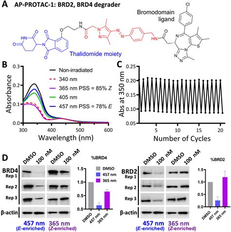 Light Mediated Multi Target Protein Degradation Using Arylazopyrazole