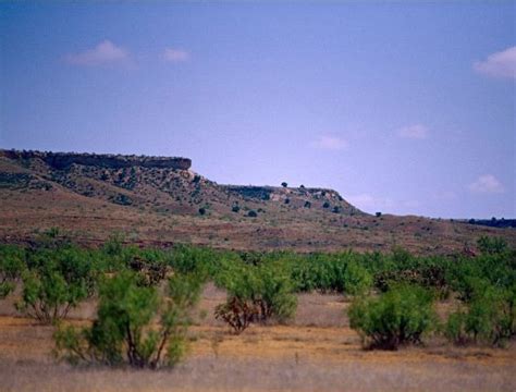 20+ Acres West Texas Land - LandForSaleStore