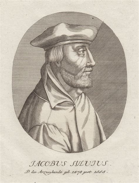 Jacobus Sylvius Oder Jacques Dubois Amiens 1478 14 01 1555